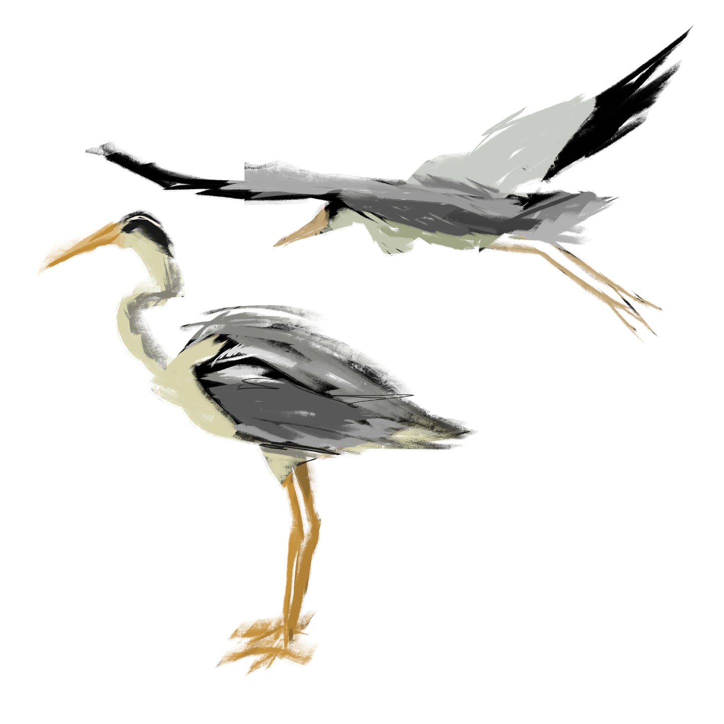 Garzas póster